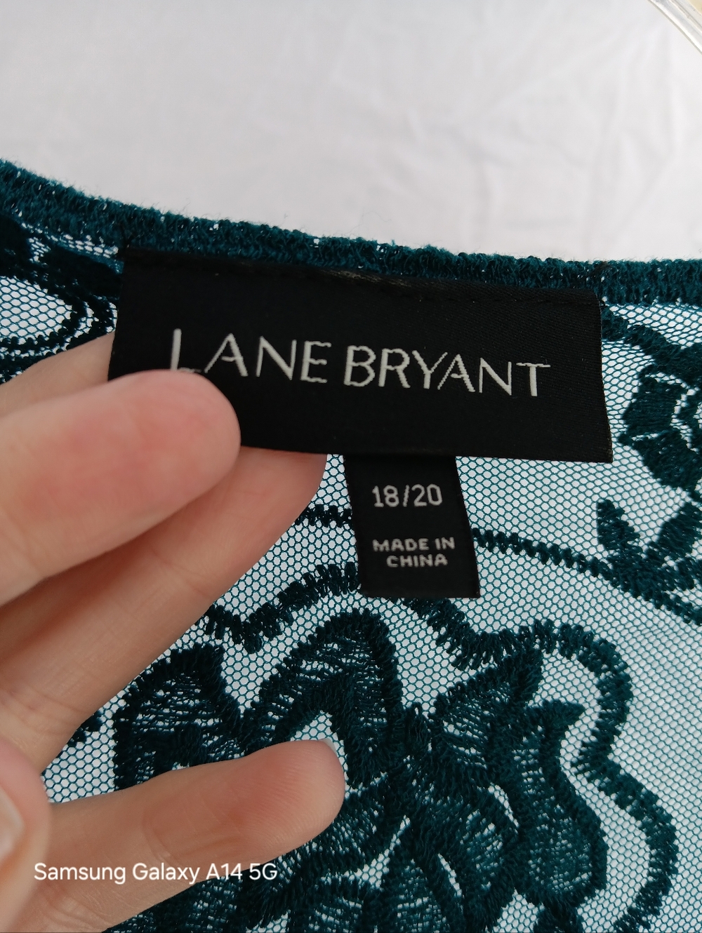 Lane Bryant Mesh Embroidered Babydoll Top Size 18/20 - Picture 5 of 11